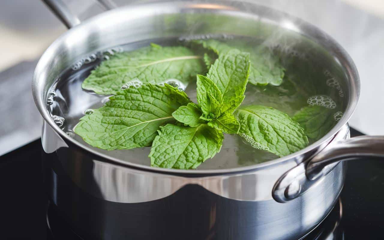 Far bollire foglie di menta in casa: quali sono i suoi benefici e perché è consigliato?