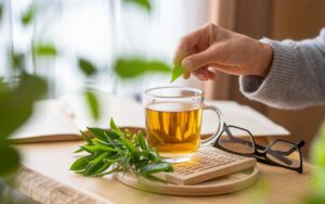 La foglia segreta da infondere per potenziare memoria e vitalità prima del rientro